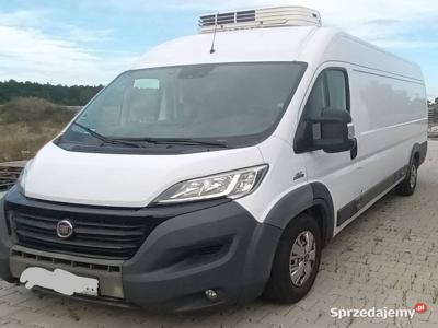 Ducato maxi chłodnia polski salon wyj na 220v