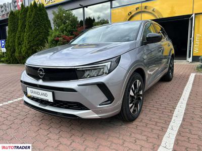 Opel Grandland X 1.2 benzyna 130 KM 2023r. (Giżycko)