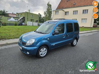 Renault Kangoo II (2003-2008)