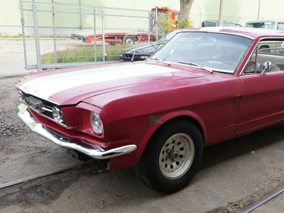 Ford Mustang V8 289cu Automat Sprowadzony C-code LUXURYCLASSIC