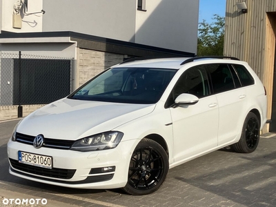 Volkswagen Golf 2.0 TDI BlueMotion Technology DSG Cup