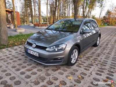 Volkswagen Golf 7 VII, 2013r. Benzyna 1.4 TSI BlueMotion