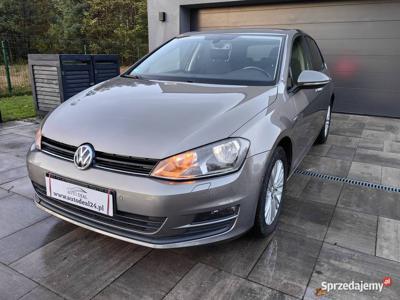 VW GOLF VII CUP 1.4TSI 122KM SERWIS ASO PRZEBIEG TYLKO 116TK