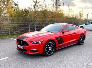 Ford Mustang GT 5.0 V8 Zarejestrowany w Kraju Tłumiki Roush