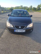 Seat Ibiza IV 6J