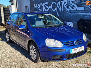 Volkswagen Golf *1,6 b MPI*z Niemiec* V (2003-2008)