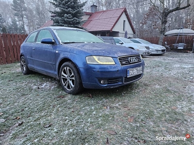 Audi a3 1.6fsi 2003