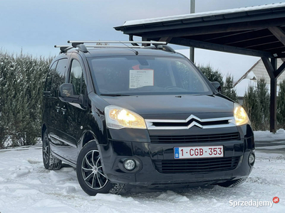 Citroen Berlingo II (2008-2018)