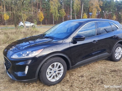 Ford Escape 1.5 benzyna 16800 km