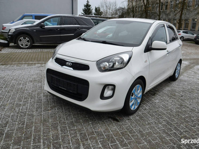 Kia Picanto Bezwypadkowy, Serwis ASO, Klimatronic, Podgrzew…