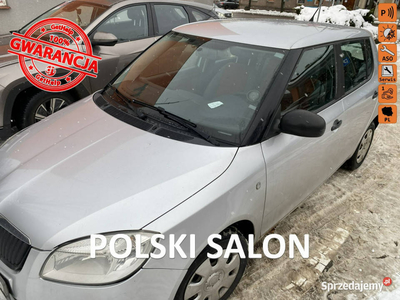 Škoda Fabia 1 wł, polski salon, klimatyzacja, Isofix, elekt…