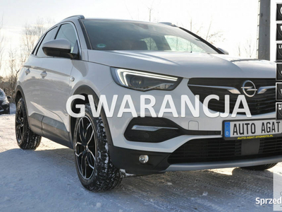 Opel Grandland X nawi*asystent pasa ruchu*bluetooth*full le…