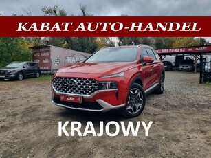 Hyundai Santa Fe III Salon PL I WŁ - EXECUTIVE - Gwarancja 05.2026 - Faktura Vat