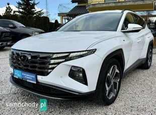 Hyundai Tucson 1.6 T-GDi HEV Executive 2WD