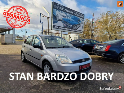 Ford Fiesta 1.3 Benzyna 70 KM, Klimatyzacja, Alufelgi, Dwa …