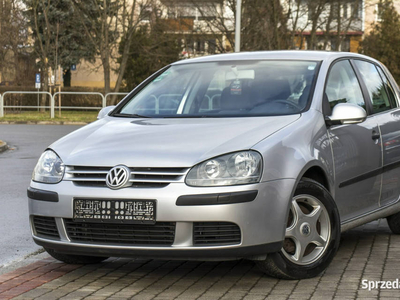 Volkswagen Golf 1.6_Benzyna_116KM_201 tyś. km V (2003-2008)