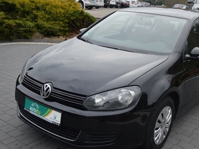 Volkswagen Golf VI Hatchback 5d 1.6 TDI-CR DPF BlueMotion 105KM 2010