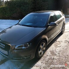 Audi A3 8p 1.6Tdi