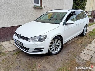 GOLF 7 SUPER STAN