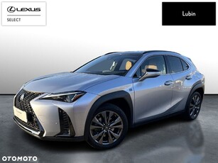 Używany Lexus UX 2023