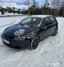 Volkswagen Golf V 1.9 TDI 2004r