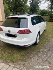 Volkswagen Golf VII