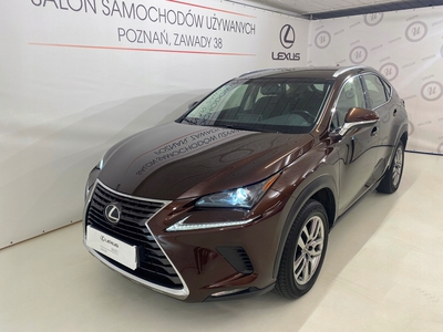 Lexus NX I SUV Facelifting 300 238KM 2018