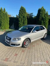 Audi A3 8P 2.0TDI CR Sportowa wersja Ambition ZADBANA