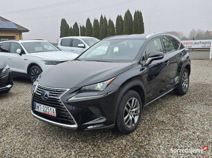 Lexus NX 300h HYBRID AWD 4x4 Elegance Salon PL GWARANCJA 3 LATA Zamiana FV…