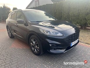 sprzedam samochód osobowy ford kuga 2,0 Tdci + hybryda 150 KM