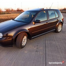 Zadbany golf 2003r 1.4 benzyna