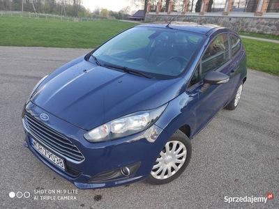 Ford Fiesta MK7 Van, VAT 1 2014r.