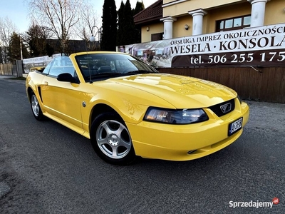 Ford Mustang 40th Anniversary Edition, skóra, automat