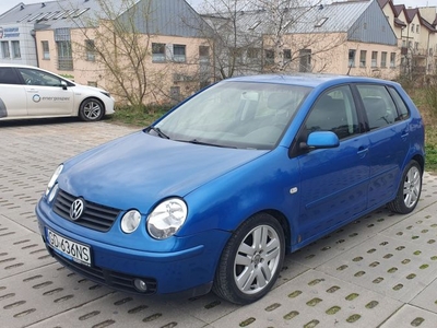 VW Polo