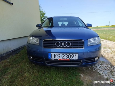 Audi A3 8P 1.6LPG