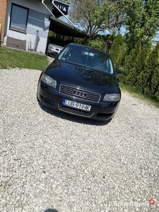 Audi a3 8p 1.9 tdi