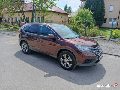 Honda CR-V Bixenon, kamera, ks. serwisowa, EXECUTIVE III (2006-2012)