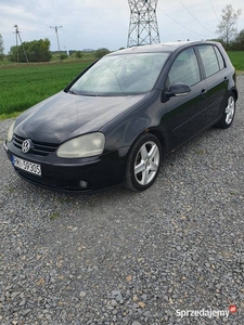 VOLKSWAGEN GOLF V auto bez RDZY!!! 5 DRZWIOWY DIESEL 140KM