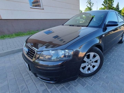 Audi A3 8P 2003r 2.0benz 150km- bdb stan techn, tempomat, klimatronic