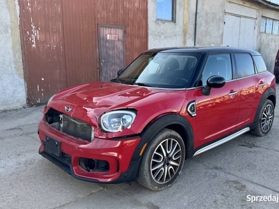 Mini countryman 2019r 2.0 192 km 4x4