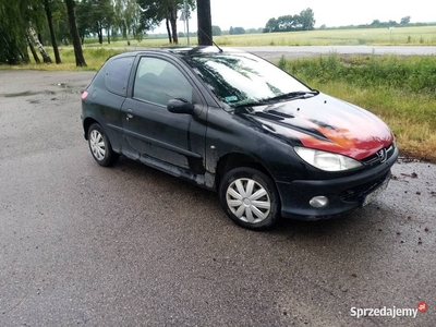 Peugeot 206 1.4 benzyna z gazem sekfencja