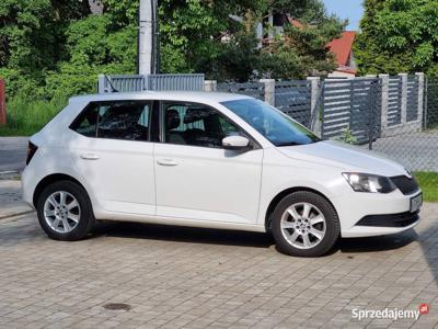 Skoda Fabia Salon PL, bezwypadkowy