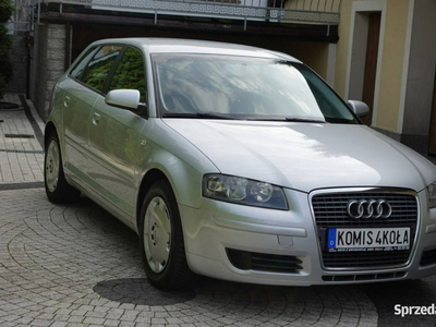 Audi A3 1.6 8V - Automat - Climatronic - GWARANCJA - Zakup Door To Door 8P…