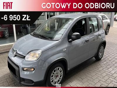 Fiat Panda III Hatchback 5d seria 4 1.2 LPG 69KM 2023