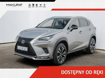 Lexus NX I SUV Facelifting 300h 197KM 2021