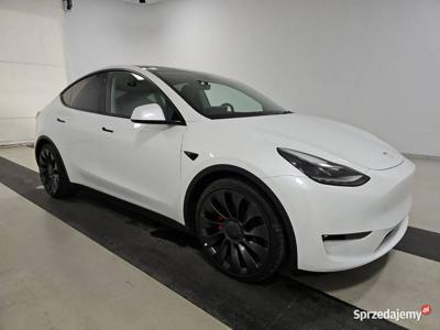 Tesla Y 2023 Tesla Model Y Performance