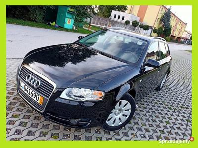 Audi A4 B7,1.9 TDI sprowadzony