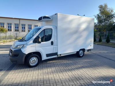 FIAT DUCATO CHLODNIA MROZNIA +20 / - 20 SALON POLSKA