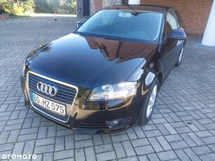 Audi A3 1.6 Attraction