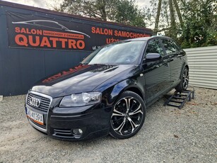 Audi A3 8P Hatchback 3d 1.4 TFSI 125KM 2007